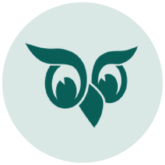 Superoffice integration logo